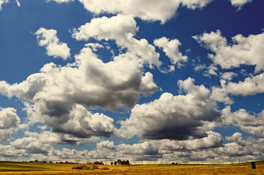 , Ростислав Машковский