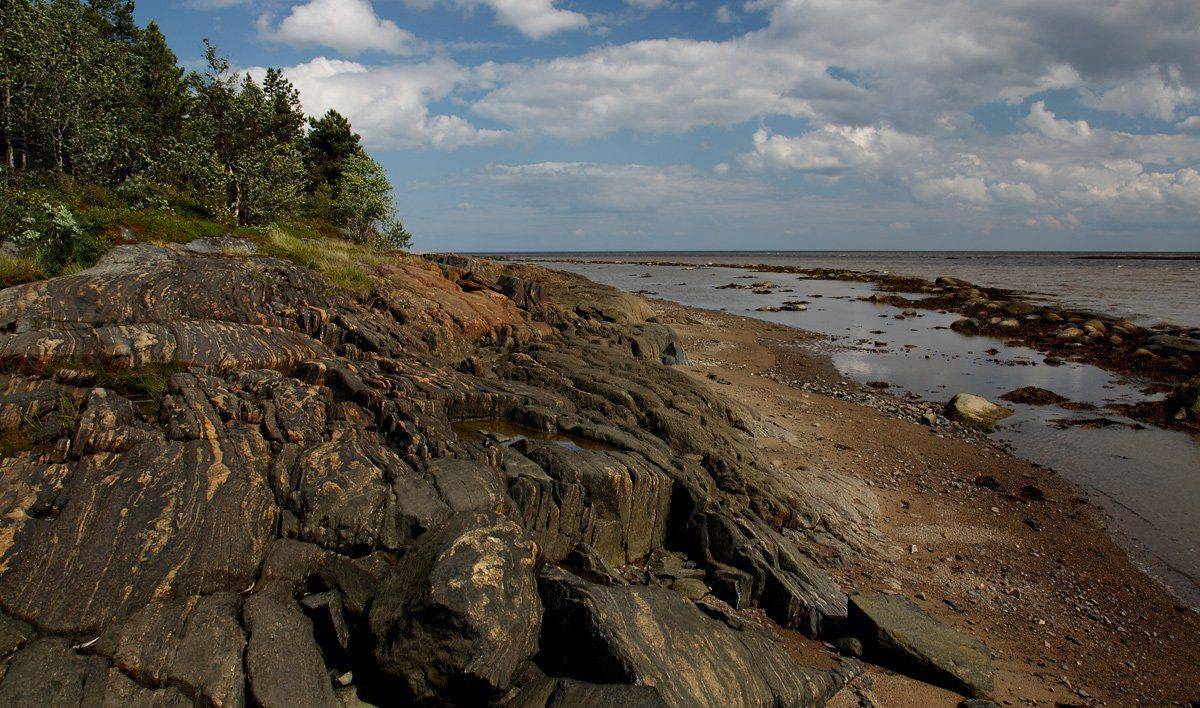 , Андрей Котов