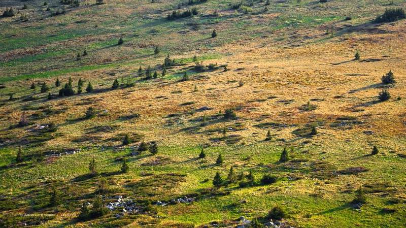 хребет, южный урал, зигальга, природа, горы, лето, елки, лес, плато  фото превью