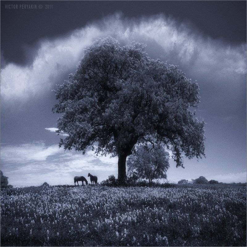 , Виктор Перякин