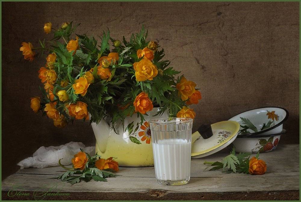 цветы, чайник, молоко, посуда, лето, Elena Pankova