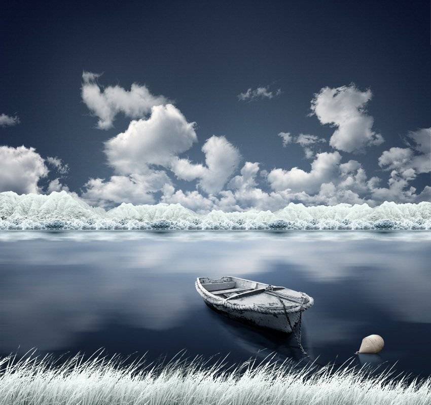 dream, the, living, Caras Ionut