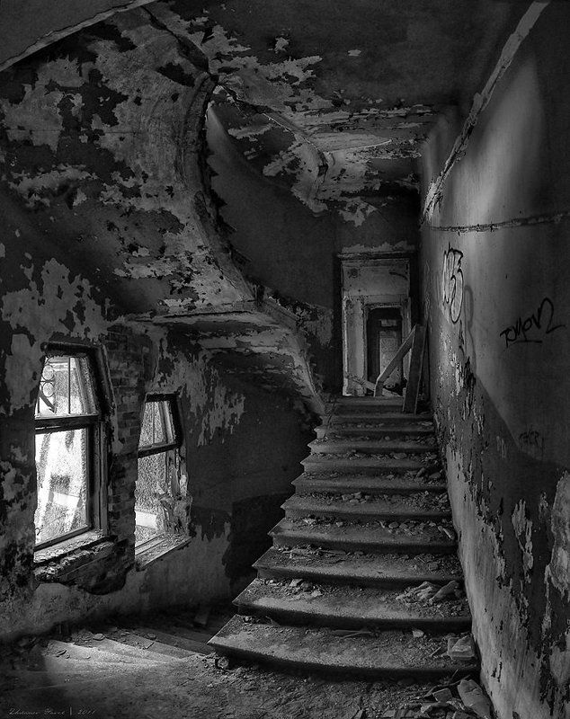 дом, говинга_выборг  фото превью