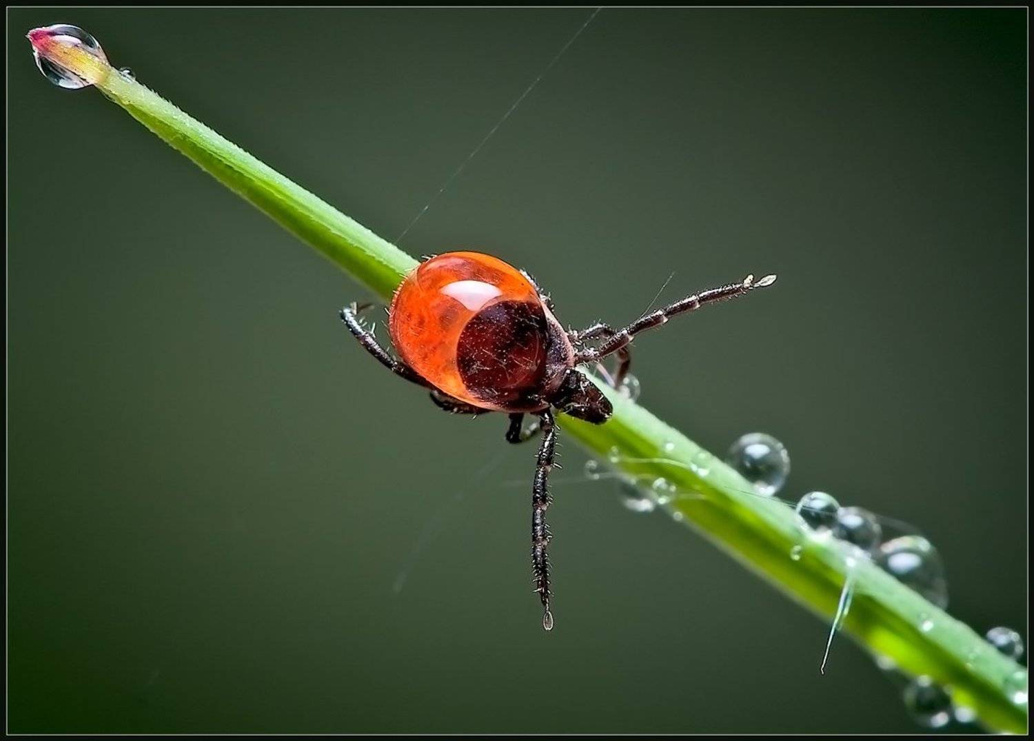 , Евгений Кирилкин.