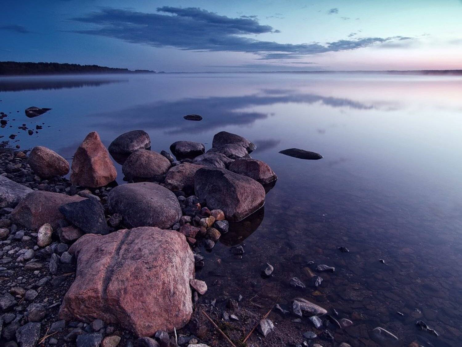 , Максим Евдокимов