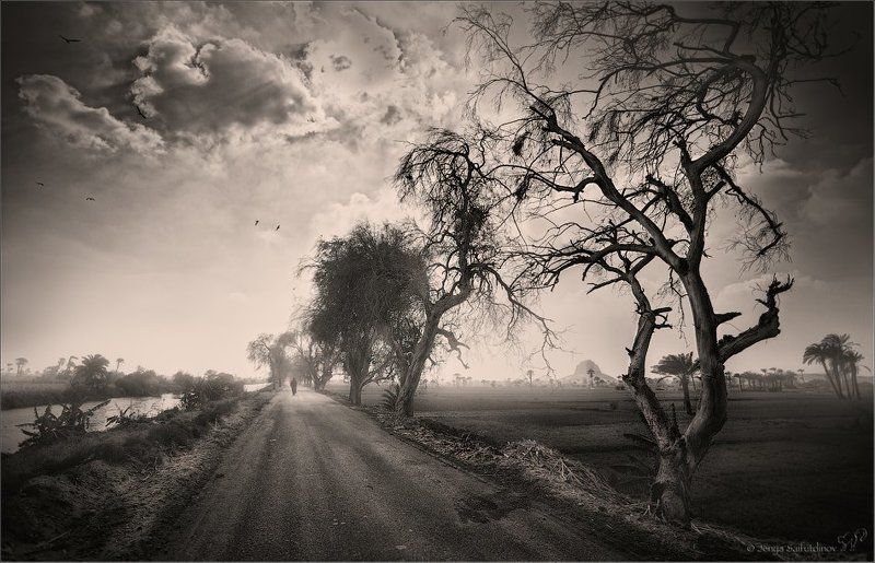 Дороги чужой страны фото превью