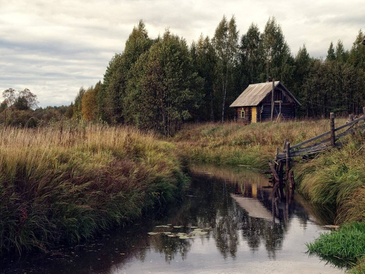 , Максим Евдокимов