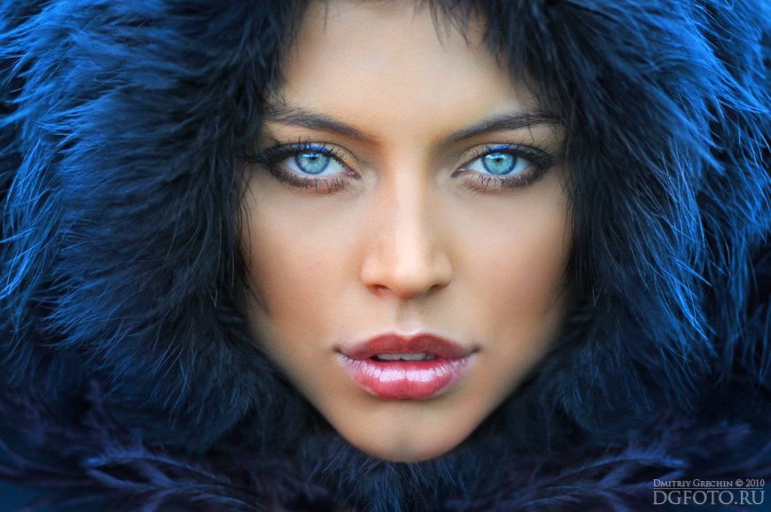 гречин, Дмитрий Гречин