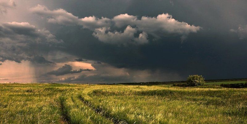 Эти летние дожди... фото превью