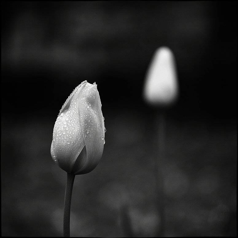 швейцария, берн, Лариса Гурьева