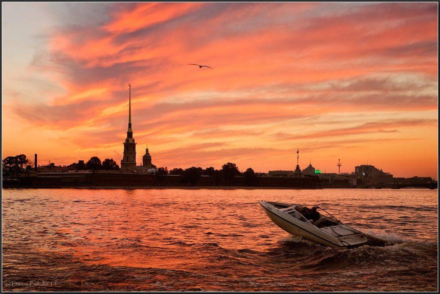 рассвет, санкт-петербург, Дмитрий Бакулин