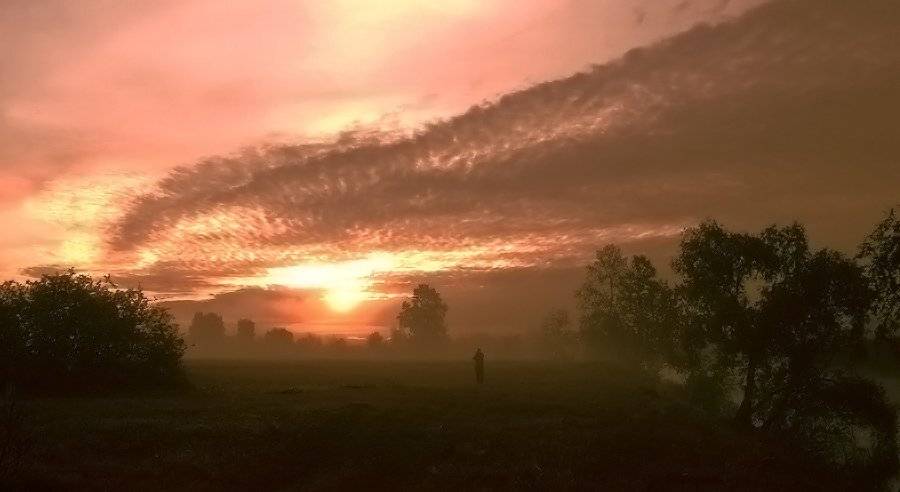 лето, рассвет, утро, Николай Морский