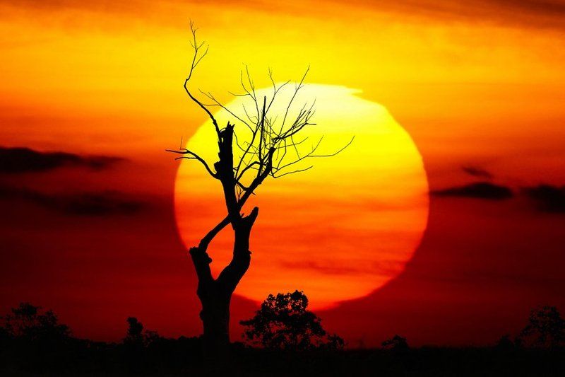 lanscapes, children, people  фото превью