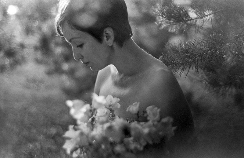 лето  фото превью