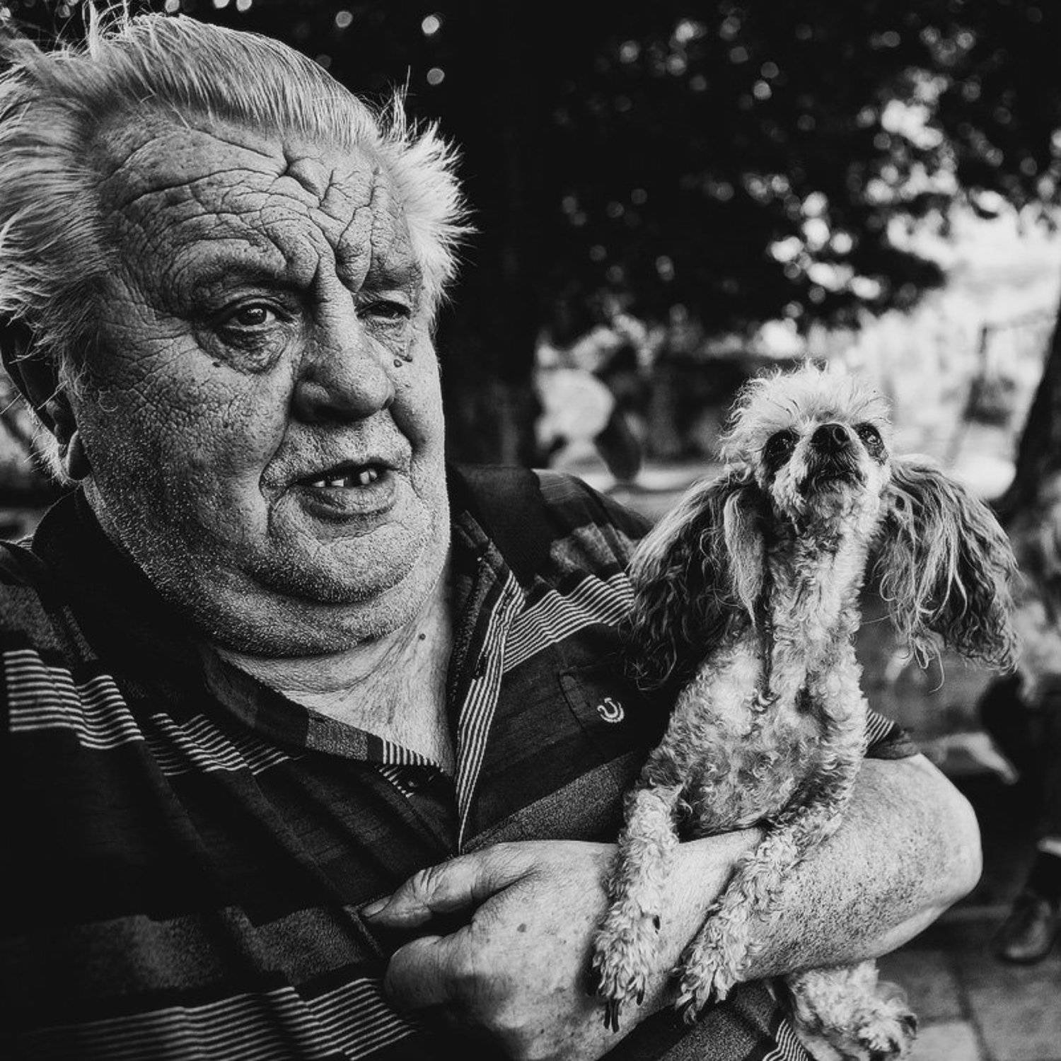 дед, собачка, злая собачка, добрый дед, Євген Кукулка