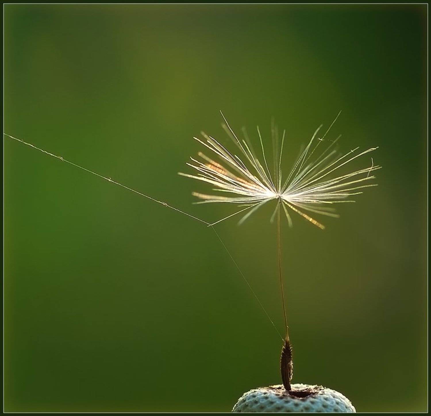 , Евгений Кирилкин.