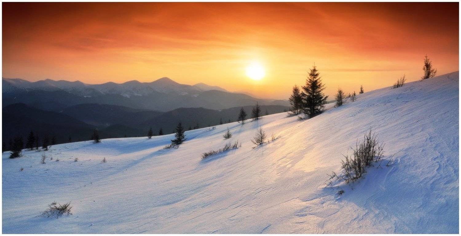 , Денис Кривой