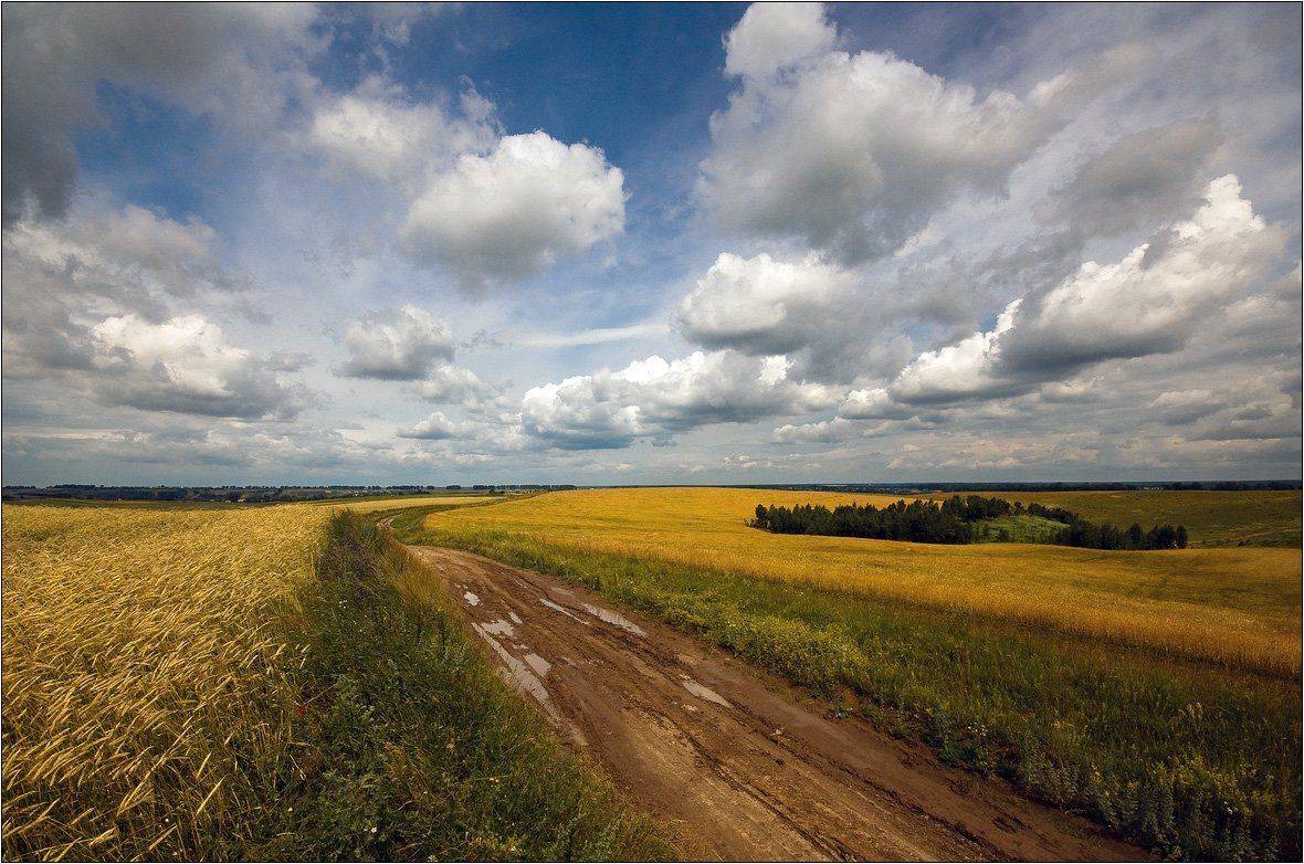 , Николай Шахманцир