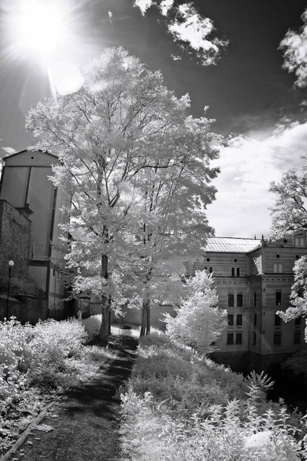 ик, мельница, дериво, город, Maximilian Buckup