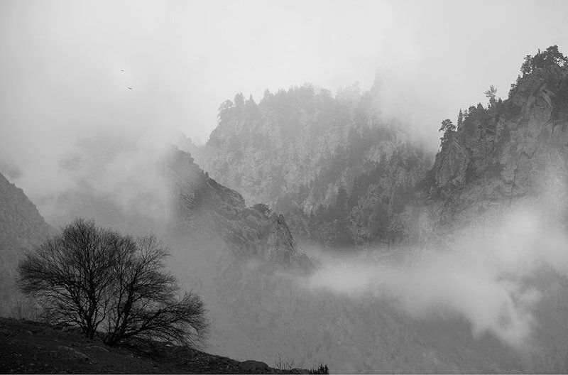 туман, облака, горы, главный кавказский хребет, кбр  фото превью