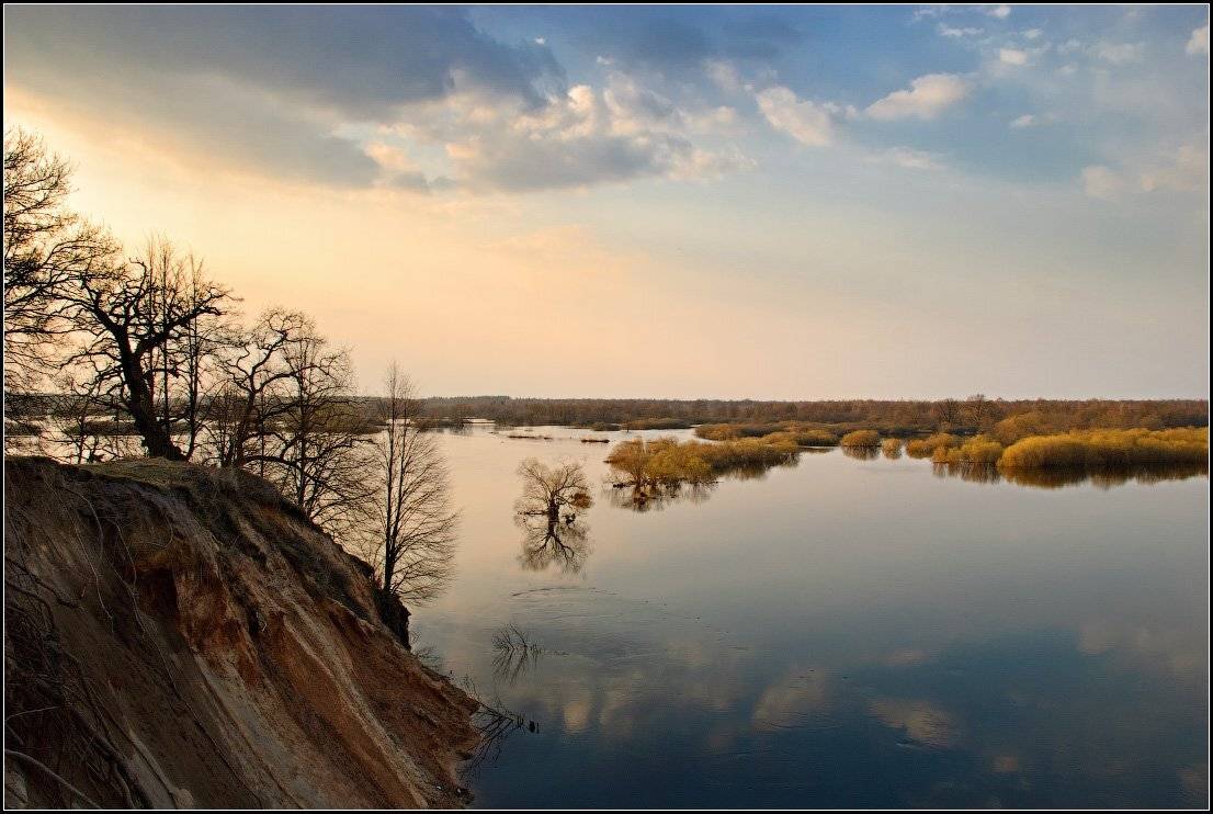 разлив, березина, река, весна, Dmitry
