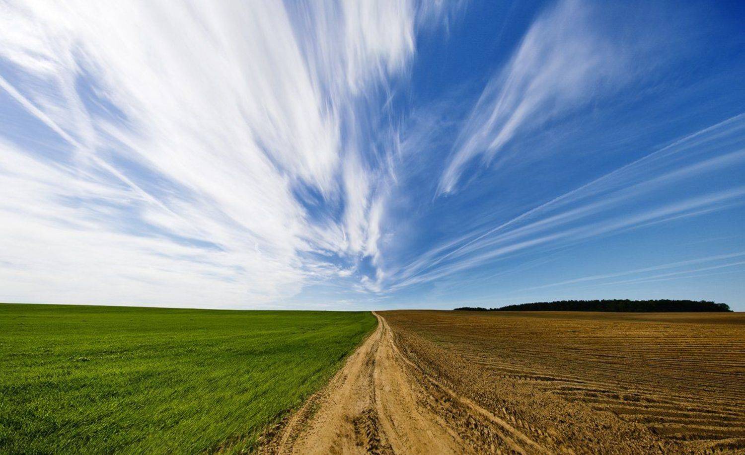 болака, небо, поле, дорога, Nethunter