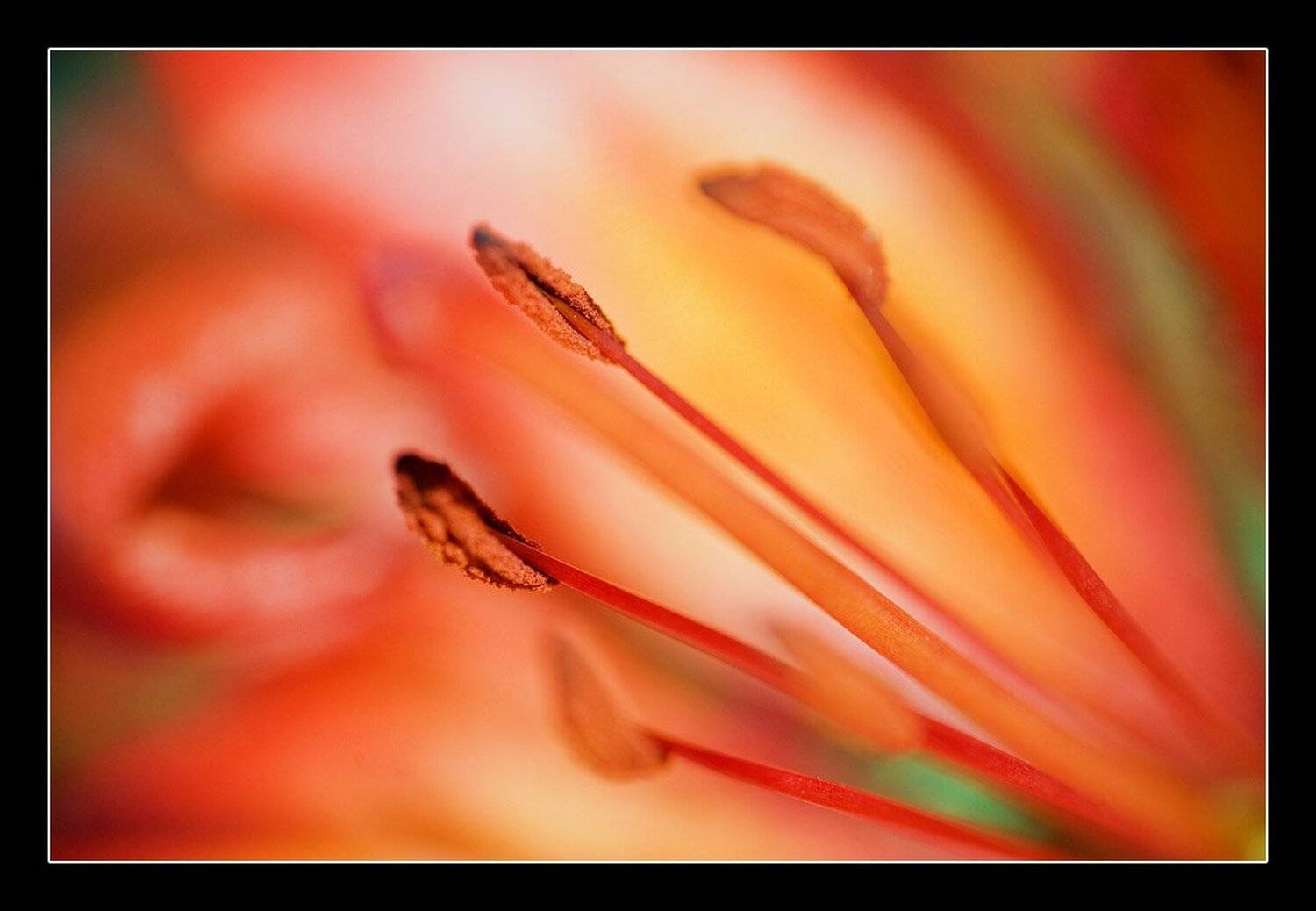 , Виктория Нарчук