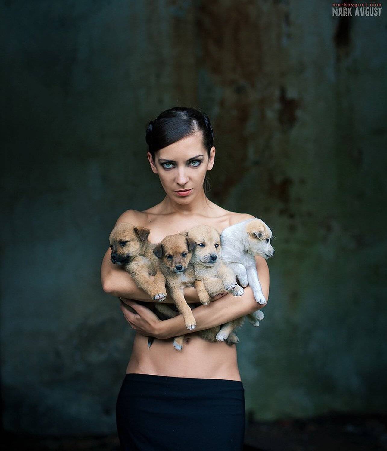 puppy, chernika, avgust, mark, Mark Avgust