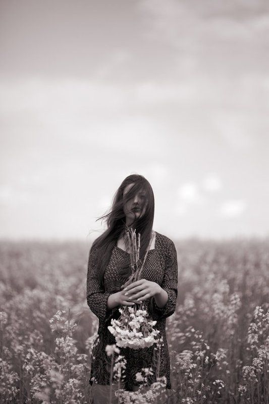 ветер  фото превью