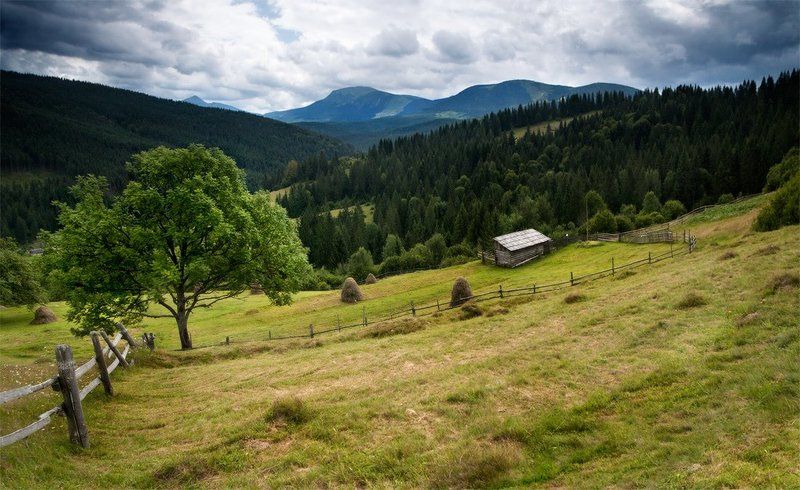 карпаты, природа, пейзаж, панорама, ясиня, село  фото превью