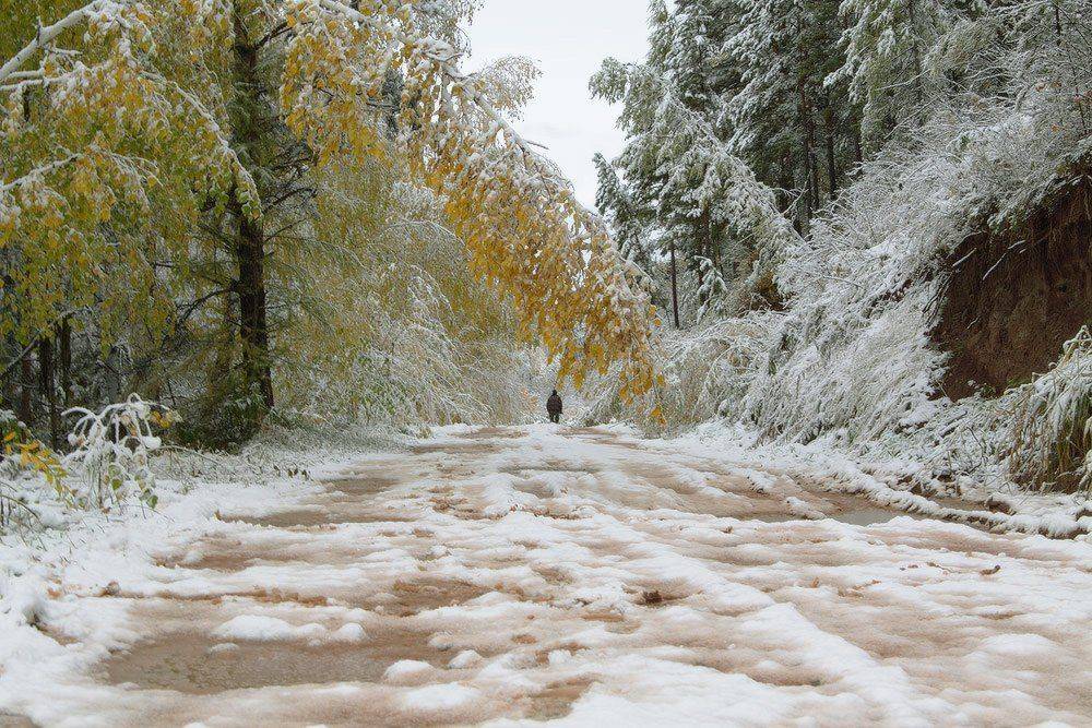 сентябрь, осень, снег, Николай Морский