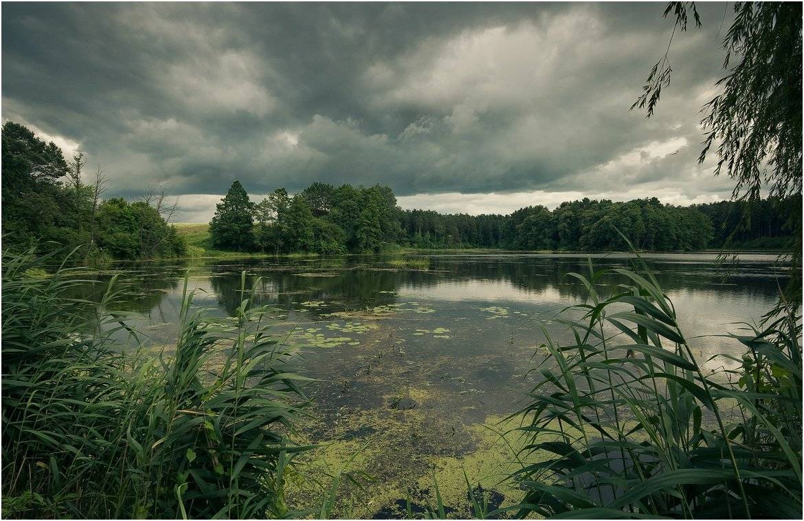 , Николай Шахманцир