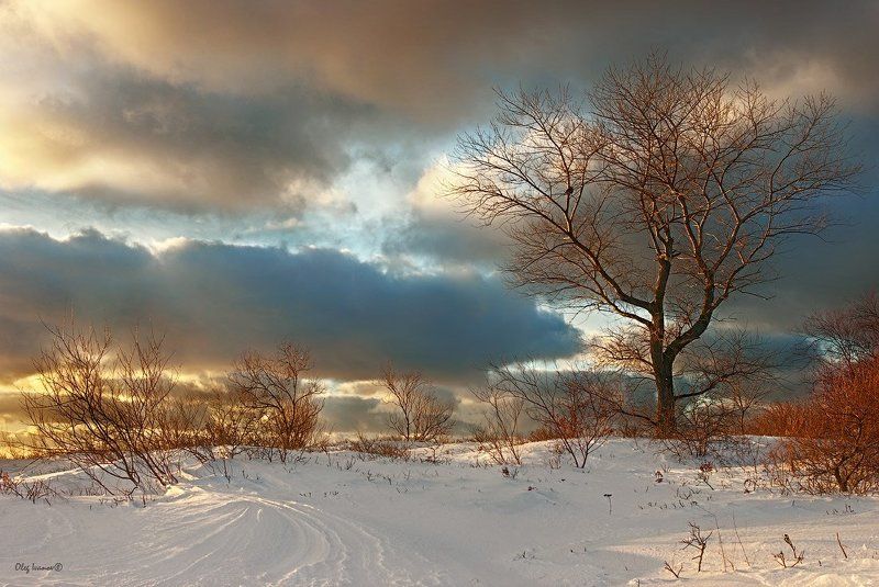 Снежное свежее фото превью