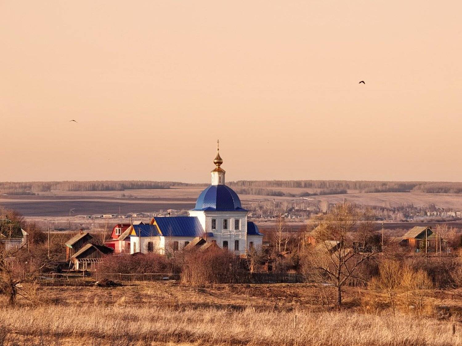 , Максим Евдокимов