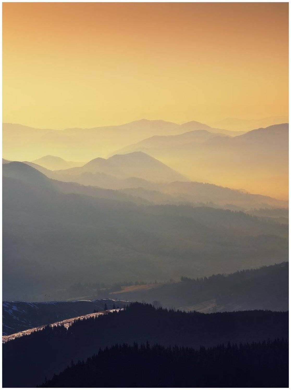 , Денис Кривой