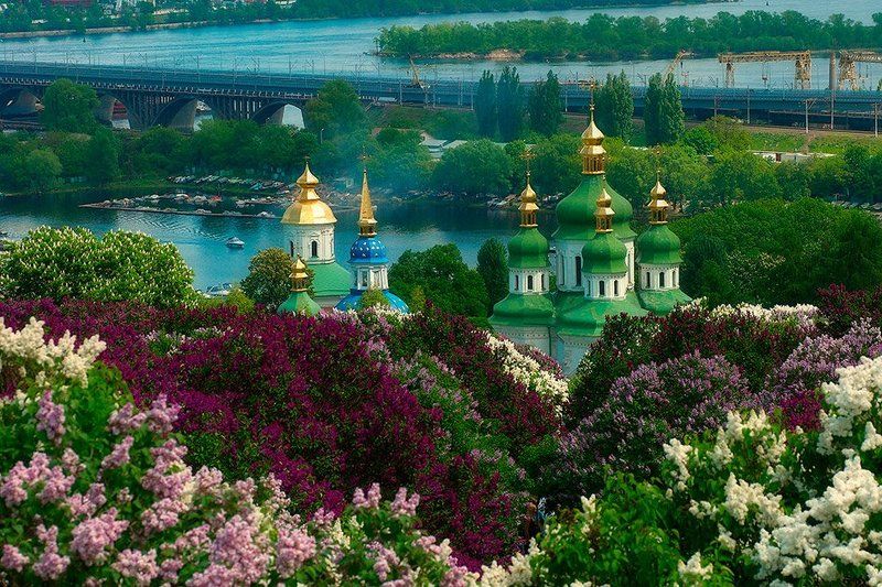 город, киев, церковь, сирень, река Стольный Град фото превью
