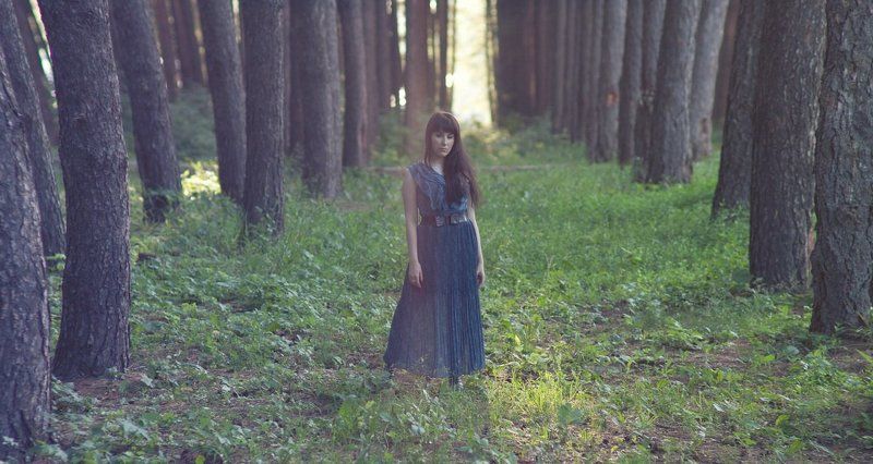 лето, девушка, красиво, солнце, закат, портрет, лес  фото превью