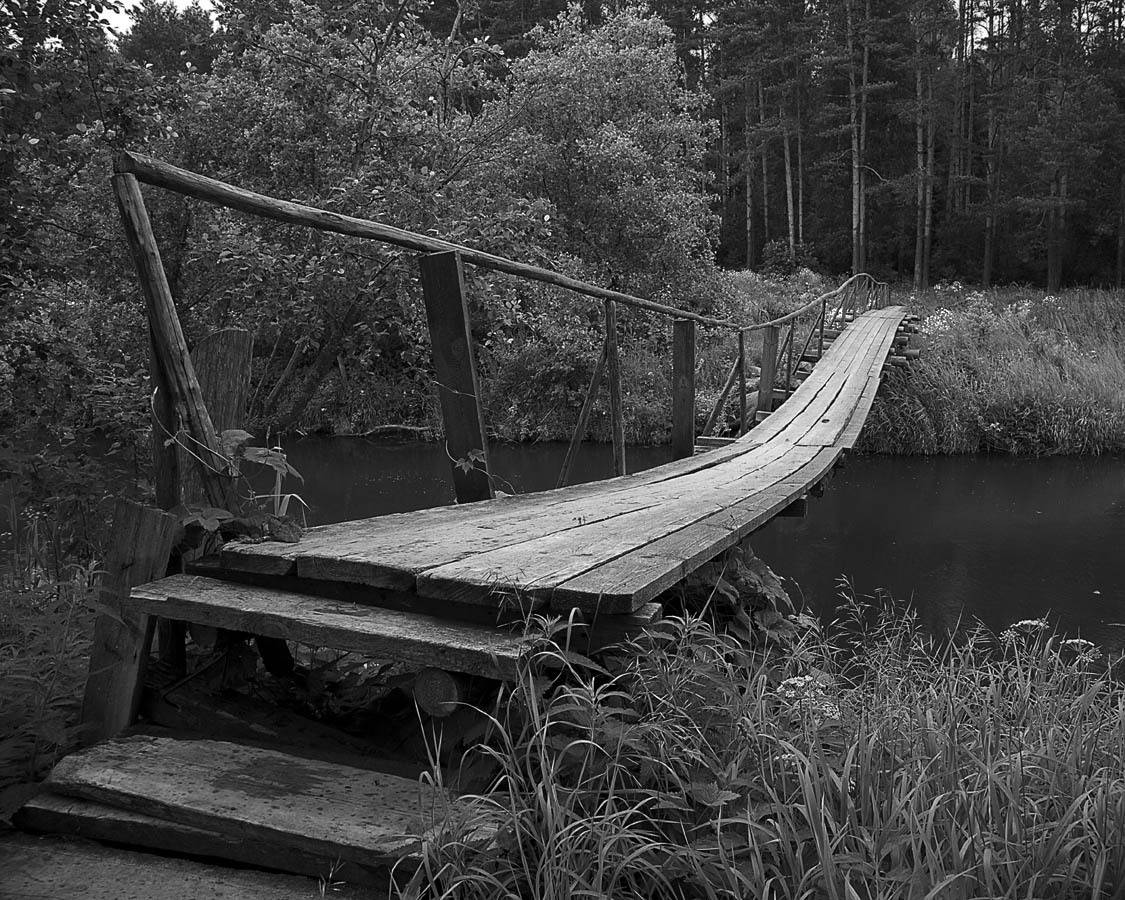 , СПИРИДОНОВ НИКОЛАЙ