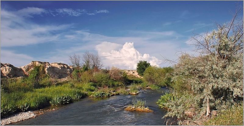 природа  фото превью