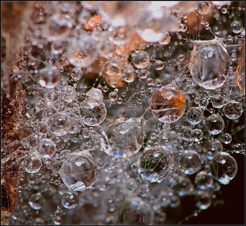 , вода, капли, макро  фото превью