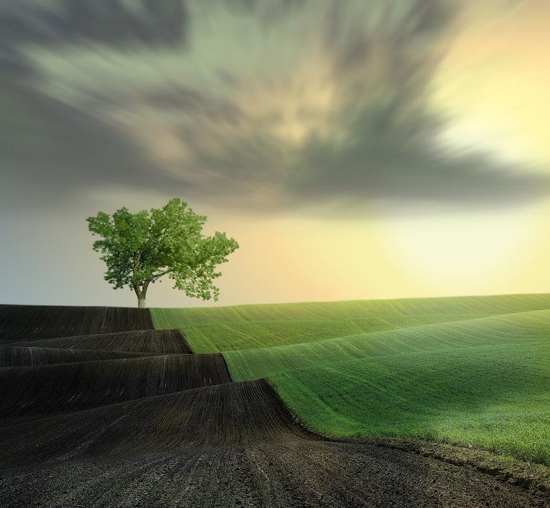 Caras Ionut