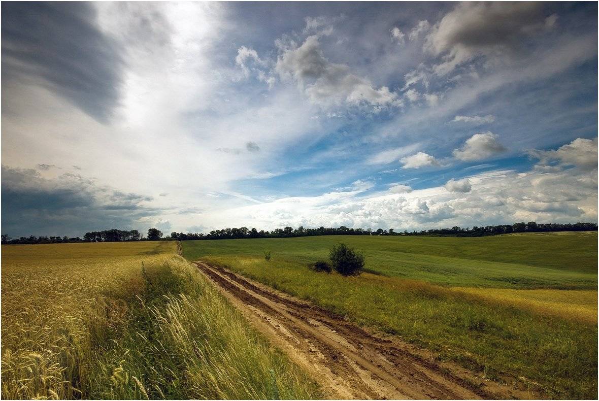 , Николай Шахманцир