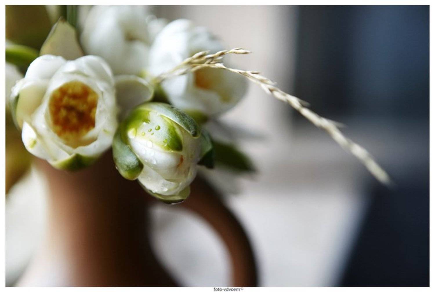 макро, водяная лилия, foto-vdvoem, фото-вдвоем, Екатерина foto-vdvoem Малькова