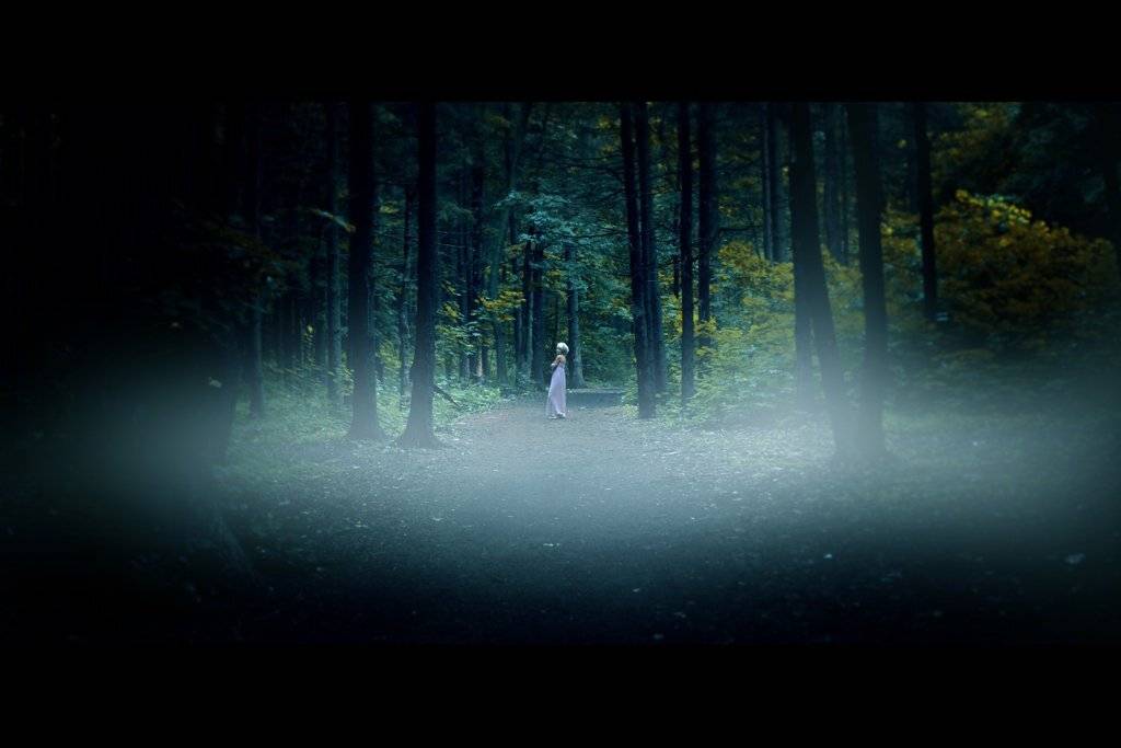 , Андреев Антон