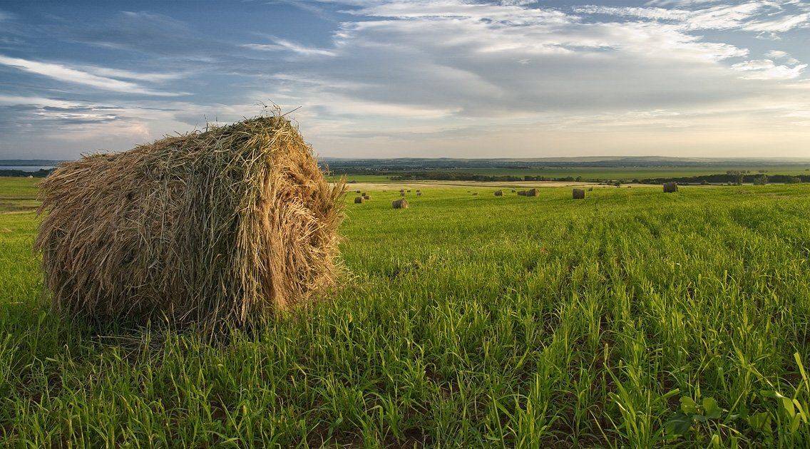 , Дмитрий Журавлев