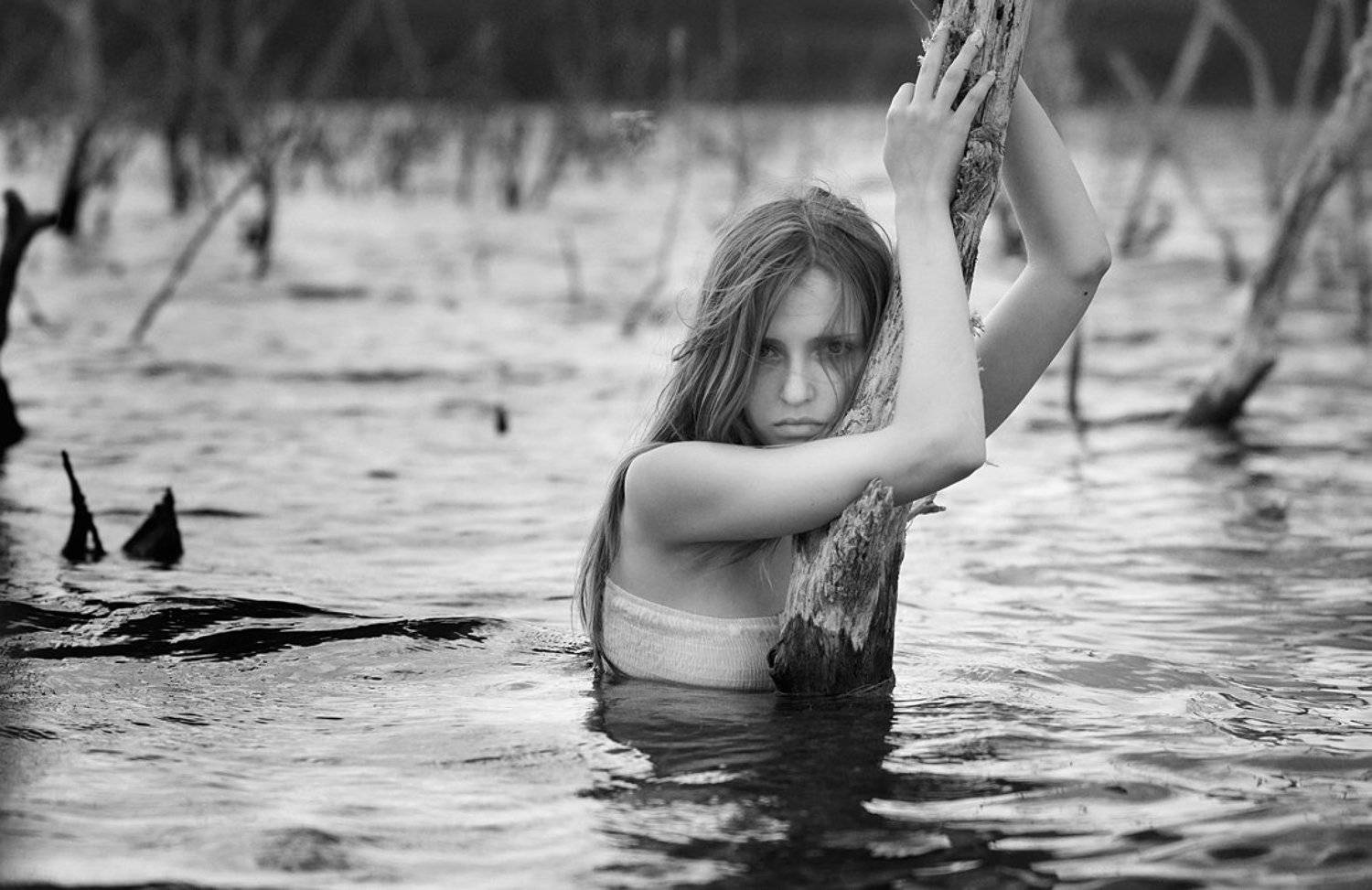 , Сергей Николаенко