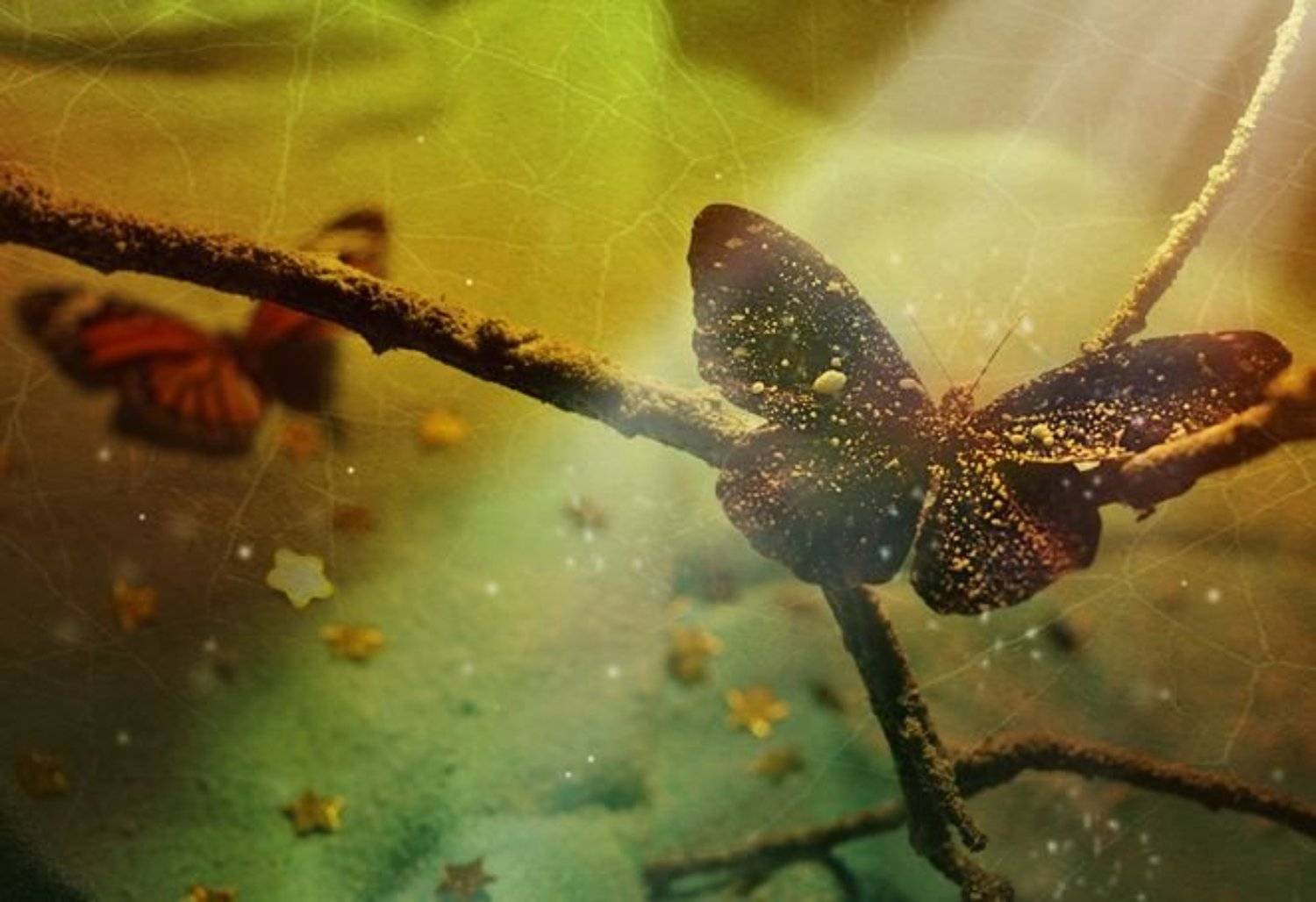 , Семёнова Юлия