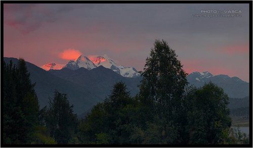 Белуха с оз. Язевое