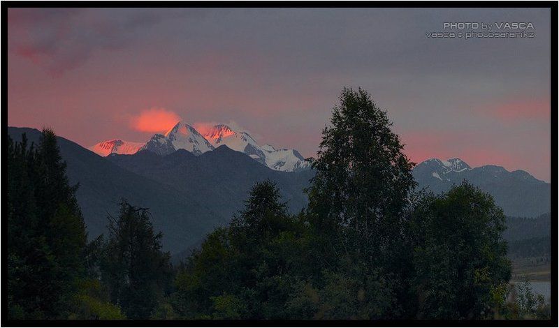 kazakhstan, altay, photo safari, белуха, язевое Белуха с оз. Язевое фото превью