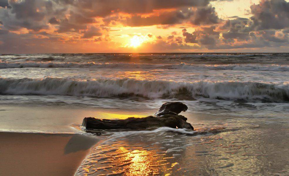 , Павел Дунюшкин